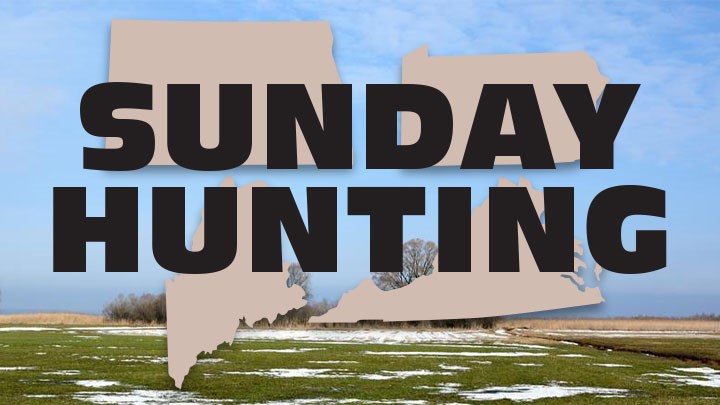 Four Eastern States Seeking to Expand Sunday Hunting