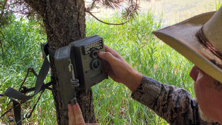 NRA Hunters' Leadership Forum | Arizona Bans Trail-Camera Usage by Hunters Beginning in 2022
