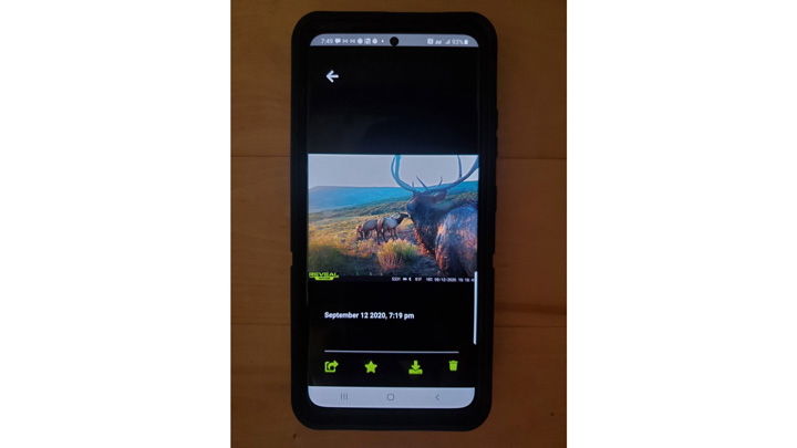 screenshot of cell phone trail camera interface
