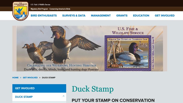 Hunting Themes to End for America’s Duck Stamps?