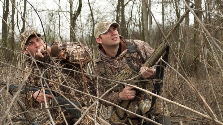 duck hunters watch approaching ducks in a swamp