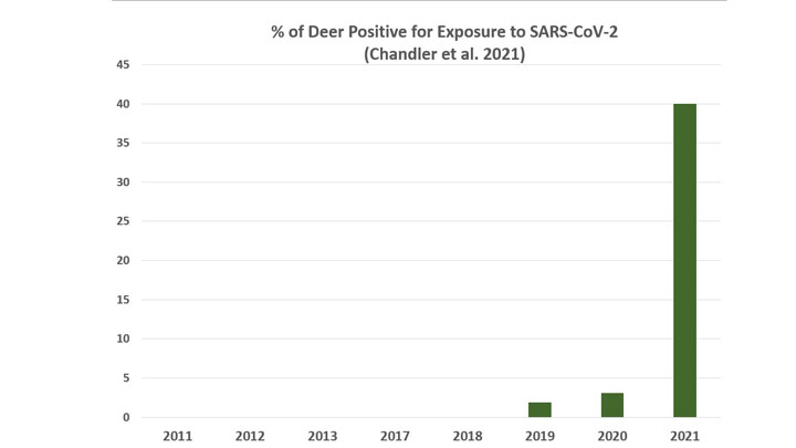 graphic table depicting exposure of whitetailed deer to COVID-19