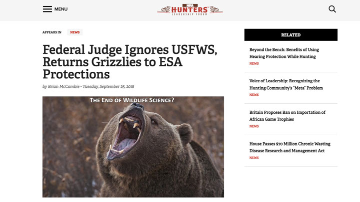 screenshot of news story regarding grizzly bear protections under endangered species act