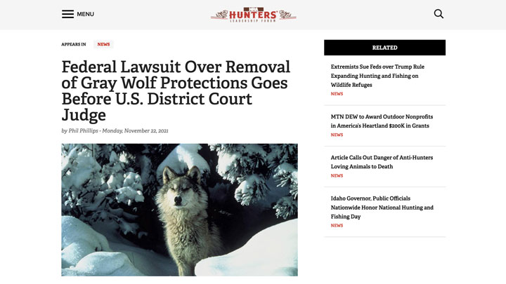 screenshot of news story regarding western gray wolf management