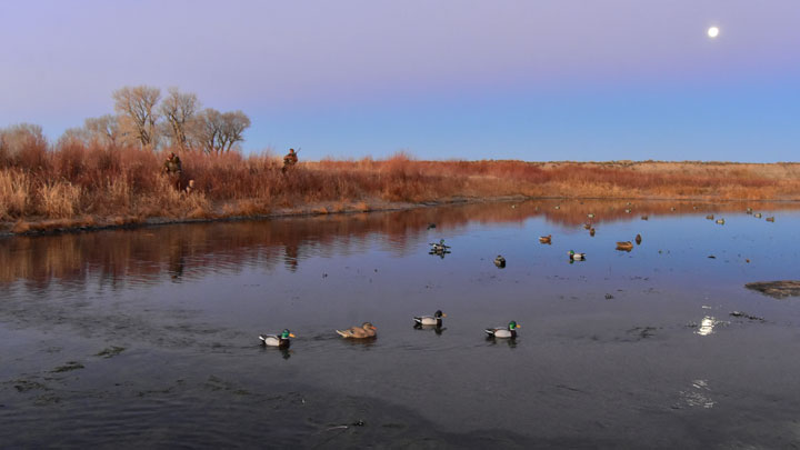 NRA Hunters' Leadership Forum | 41 Conservation Partners Urge Feds Not to Settle Extremists’ Lawsuit