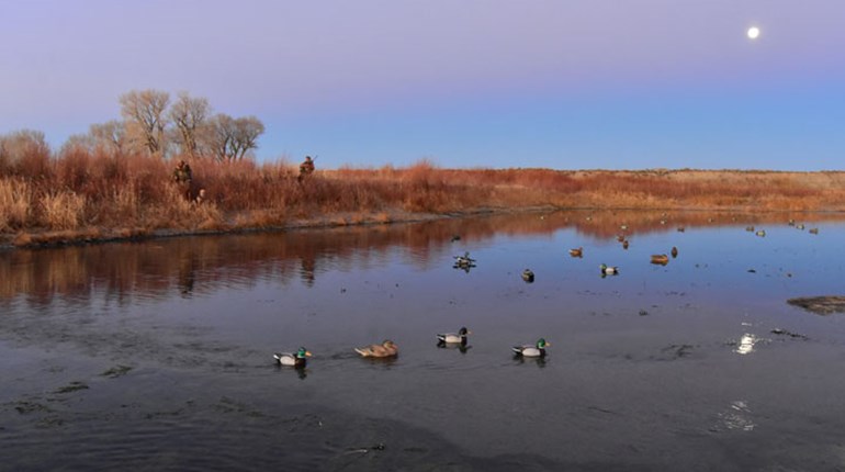 NRA Hunters' Leadership Forum | 41 Conservation Partners Urge Feds Not to Settle Extremists’ Lawsuit