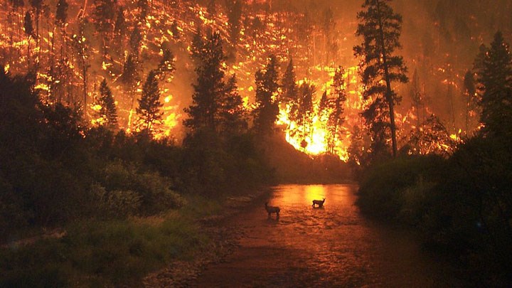 A Call to Action: Wildfire Crisis Strategy Roundtables Being Held through May