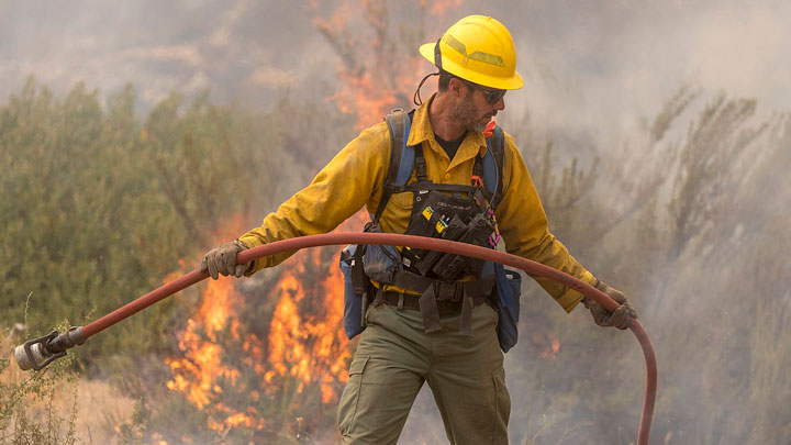 photograph of forest firefighter