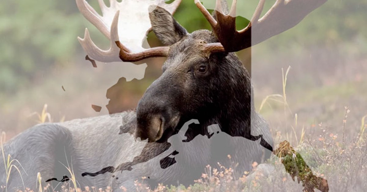 NRA Hunters' Leadership Forum Federal Subsistence Board Closes