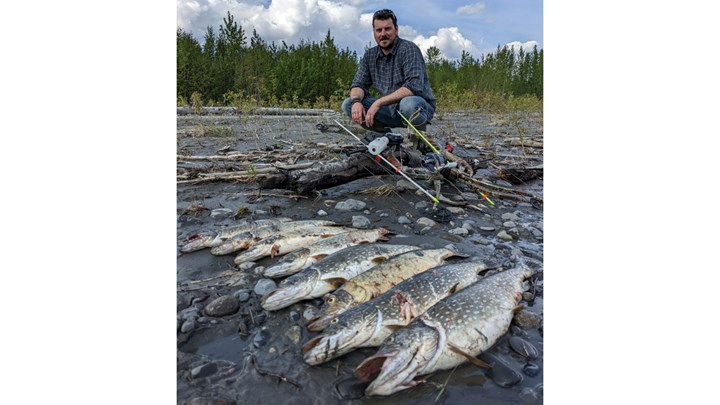 Bowfishing for Invasive Fish Species in Alaska—or Anywhere—Keeps Archery Skills Sharp