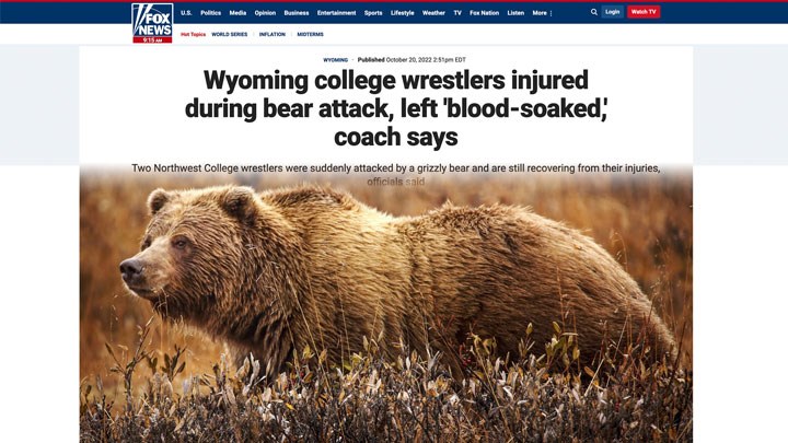Wyoming Grizzly Bear Attack Amplifies Need for Species’ Management