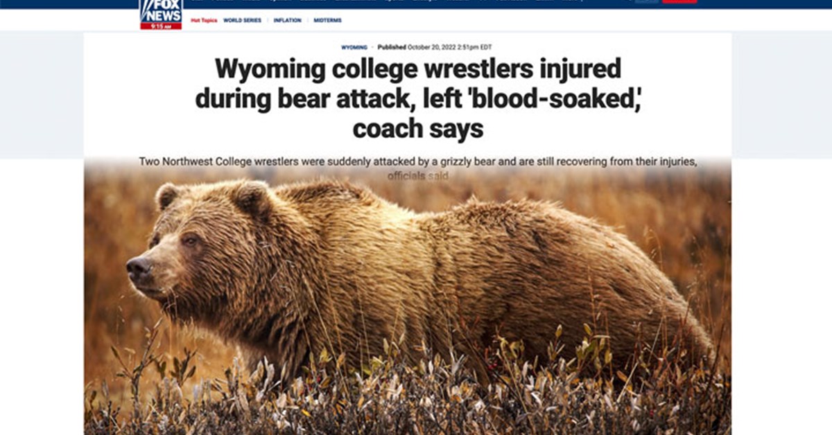 Fatal grizzly attack renews debate over how many bears are too many - OPB