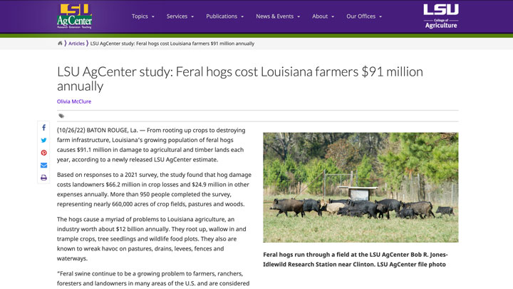 Screenshot of LSU AgCenter study on Feral hogs cost to Louisiana farmers.