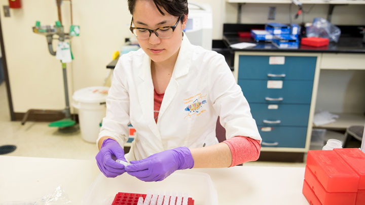 stock photo of biologist in lab studying biological samples