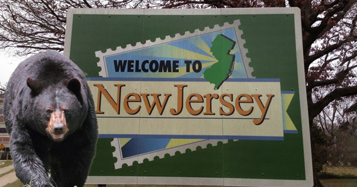 NRA Hunters' Leadership Forum What’s With New Jersey’s Abysmal 2022