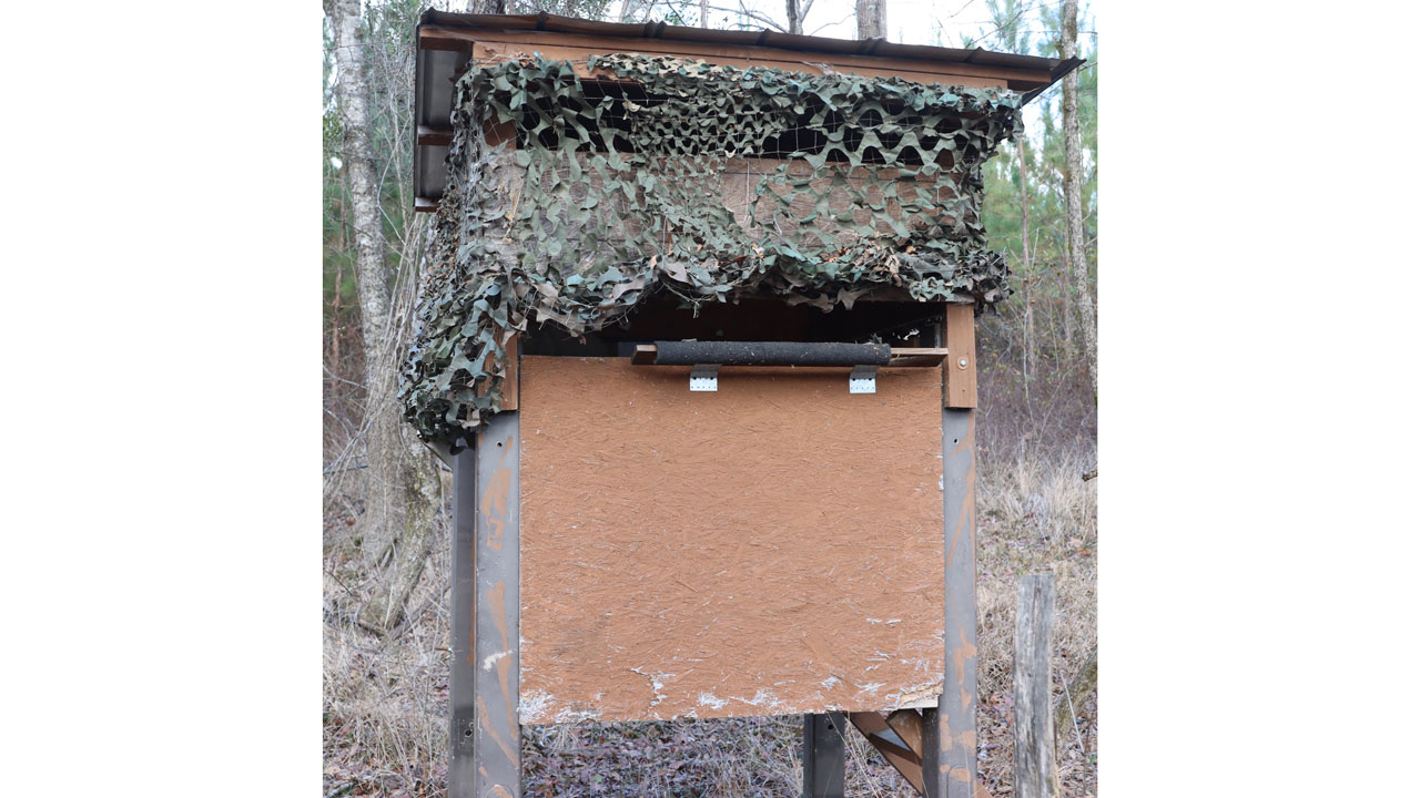 the blind from where the author shot the bobcat