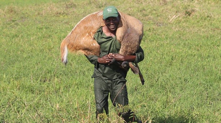 NRA Hunters' Leadership Forum | African Hunt Shows How Taking the Oldest Animals Sustains Viable Populations