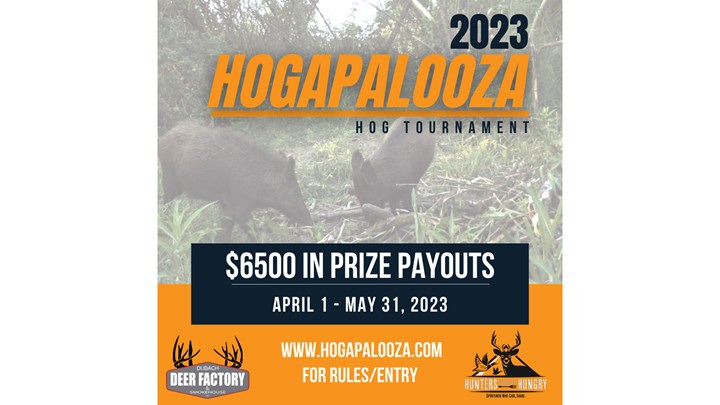 Hogapalooza! Louisiana Hunters for the Hungry Program Aims to Ease Feral Swine Bomb