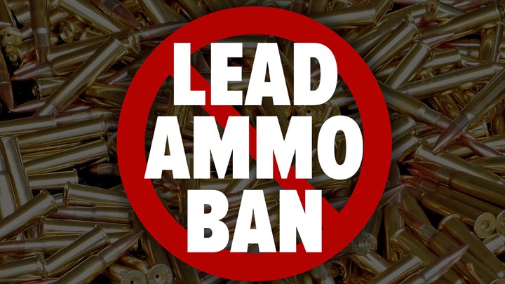 U.S. House Resolution Aims to Halt Federal Lead Ammo Bans