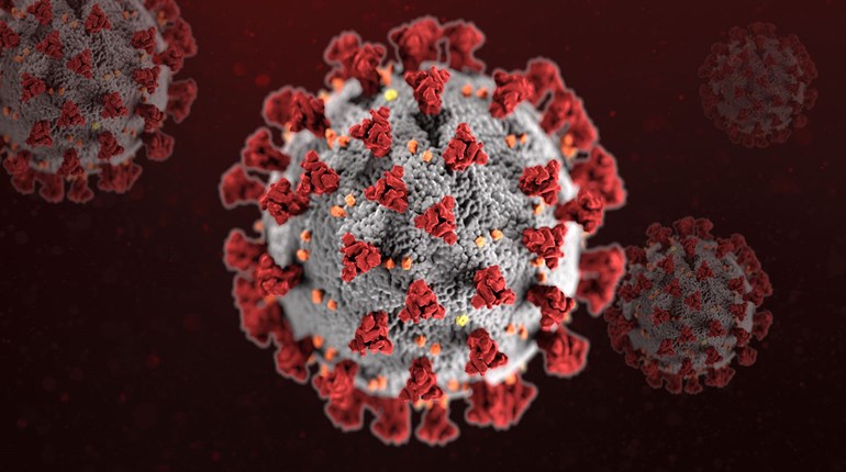 NRA Hunters' Leadership Forum | The Truth About Transmission of the COVID-19 Virus Between Wild Deer and Humans