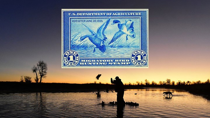 Federal Duck Stamps May Become Electronically Accessible Nationwide