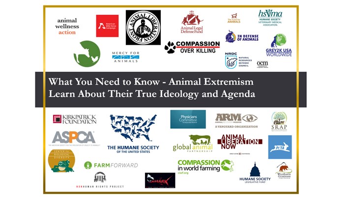 How Animal “Rights” Has Become a Billion Dollar Industry