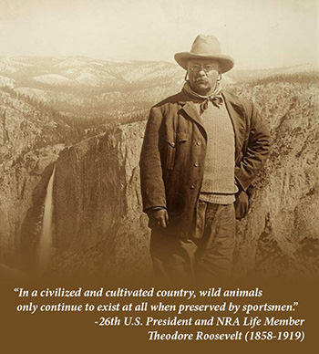 roosevelt in national park