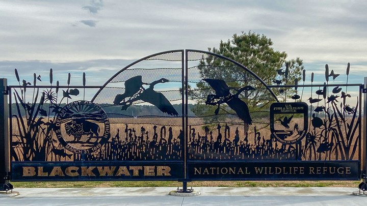 NRA, Others Continue Battle Over Dangerous National Wildlife Refuge Proposal