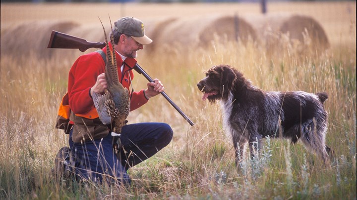 NRA Says Sunday Hunting in Pennsylvania Is Gaining Ground after Passing House