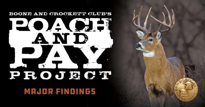 Boone and Crockett Club Releases Data from Major National Poaching Study