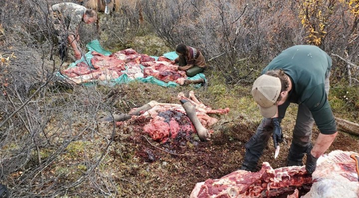 Beat the Heat: Preserving Your Wild Game Meat in the Early Season