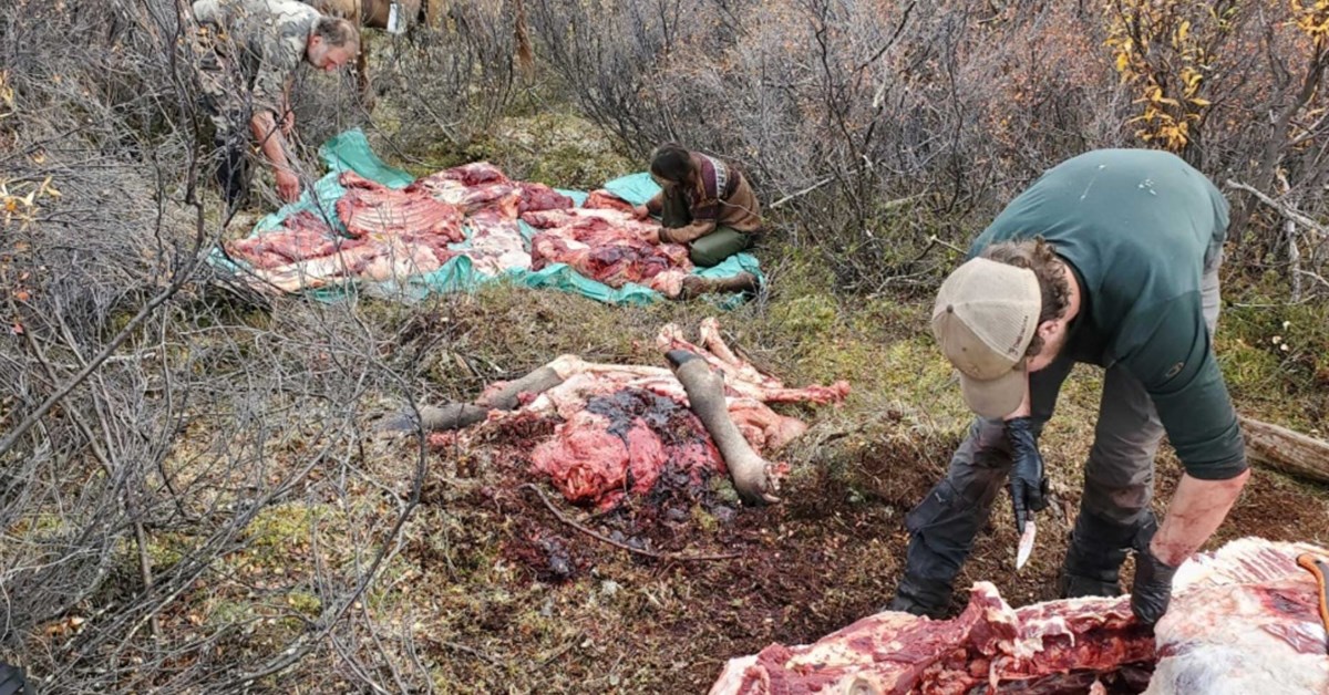NRA Hunters' Leadership Forum | Beat the Heat: Preserving Your Wild ...