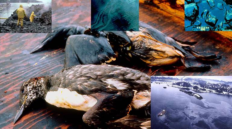NRA Hunters' Leadership Forum | 30 Years Later: How the NRA Helped Spur Kodiak Refuge Acquisitions with Exxon Valdez Settlement Funds