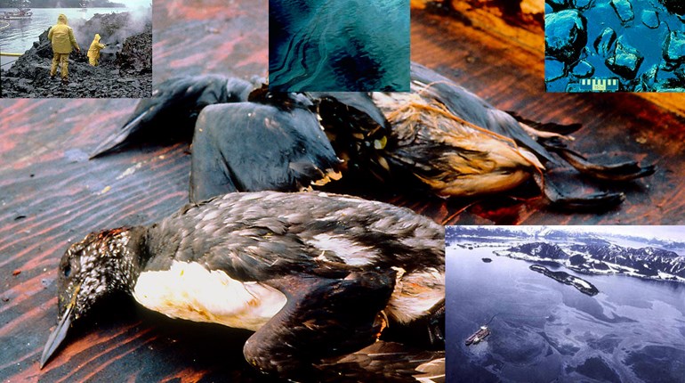 NRA Hunters' Leadership Forum | 30 Years Later: How the NRA Helped Spur Kodiak Refuge Acquisitions with Exxon Valdez Settlement Funds