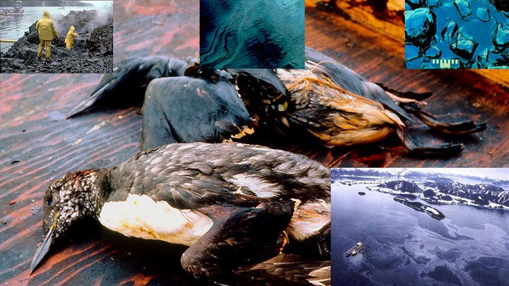 30 Years Later: How the NRA Helped Spur Kodiak Refuge Acquisitions with Exxon Valdez Settlement Funds 