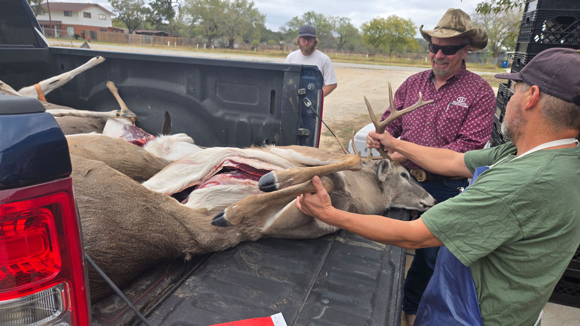hunters gather around a deer at a check station